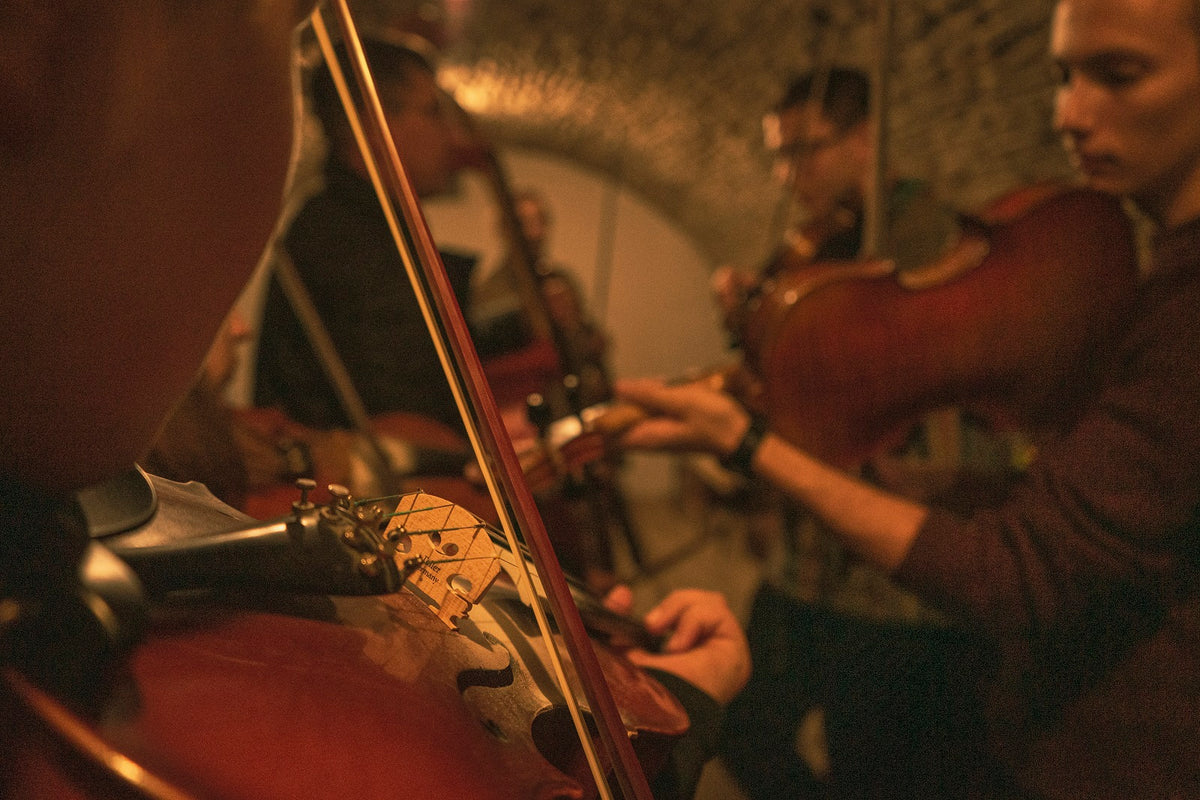 Traditional folk musicians playing string instruments during an evening dance house session.