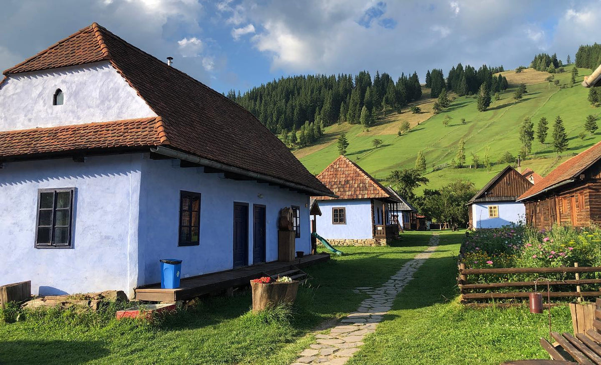 Stone path through the museum grounds, lined with blue and wooden houses and flower beds, forested hills beyond.