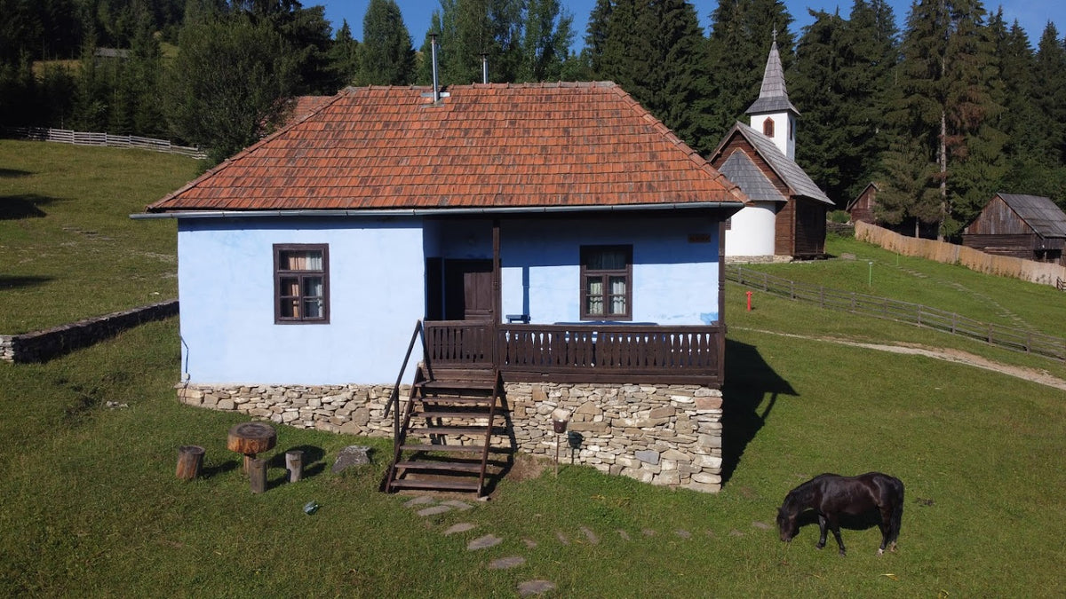 Kondor house with a small wooden chapel and a black pony grazing nearby, forested hills behind.