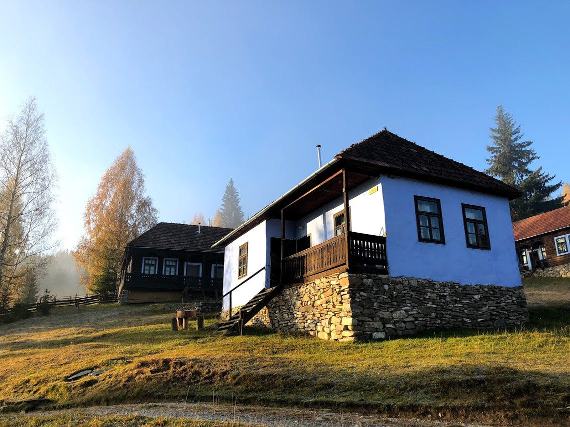 Kondor house in golden autumn light, birch trees turning yellow beside a dark wood house in the background.