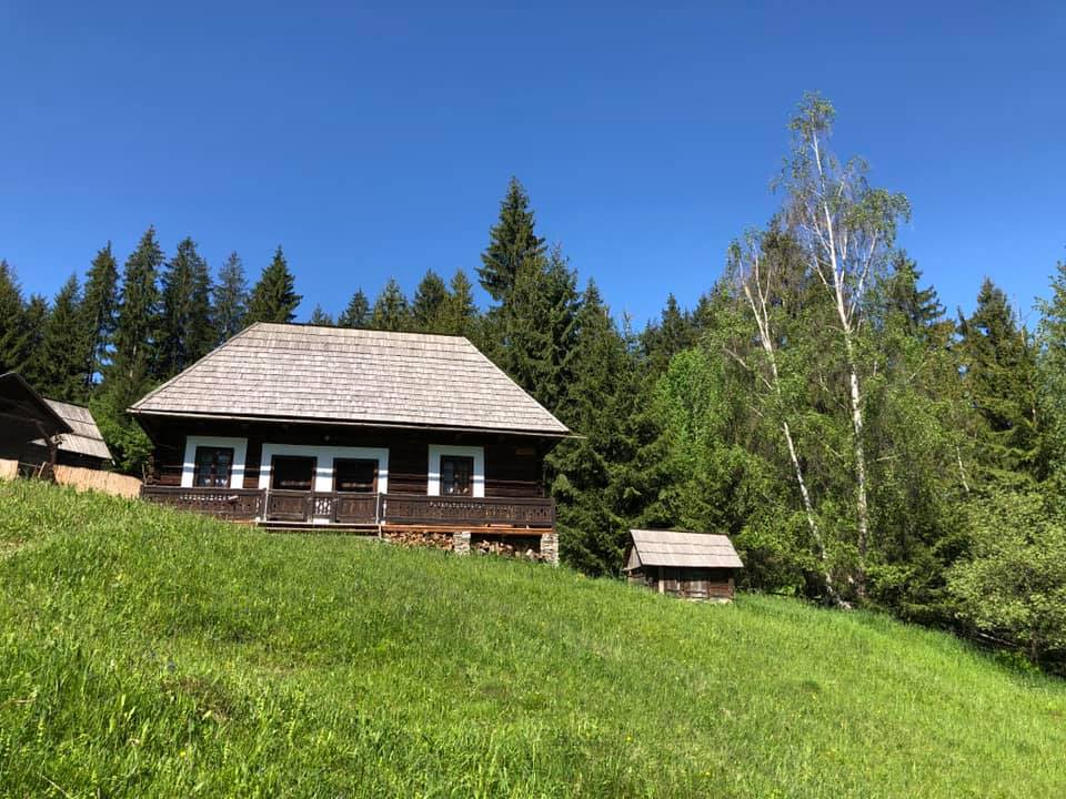 Tarhavasi house on a grassy hillside in summer, with a small wooden shed and tall birches nearby.